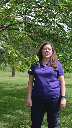 15K views · 301 reactions | Learn how to attract wildlife to your landscape with LSU AgCenter horticulture agent Jessie Hoover. | LSU AgCenter | Facebook