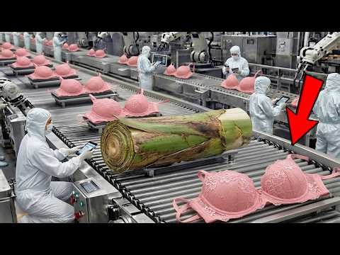 Magical Production Process: Transforming Banana Plant Waste Into Women's Underwear