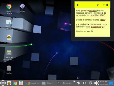 Tutorial de como ver mi procesador y tarjeta madre en Linux Mint XFCE 🐧