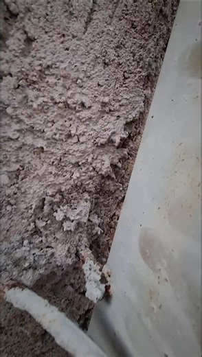 Renault Kangoo: Innovación Neumática en Argentina