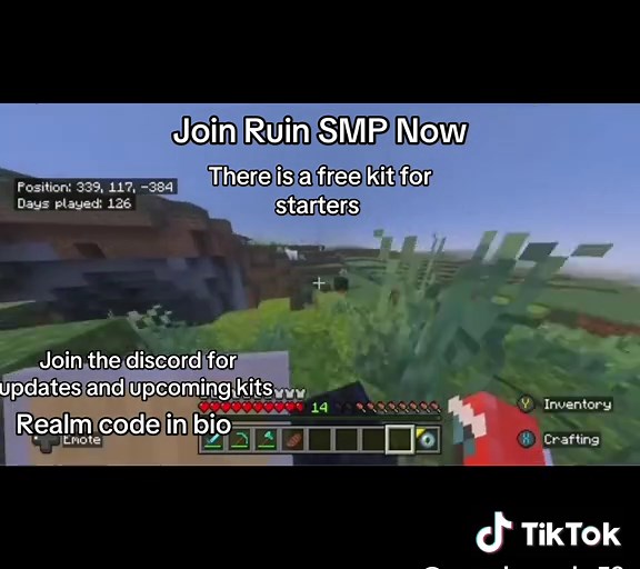 Starter kit #minecraft #realms #anarchyrealm