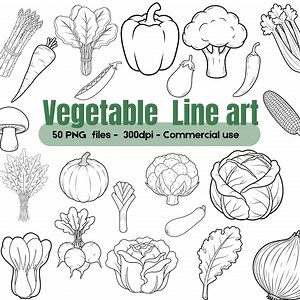 Vegetable Line Art Clipart PNG Set | Hand Drawn Garden Veggies Outline Illustrations for Coloring Pages, Stickers, Packaging - Etsy