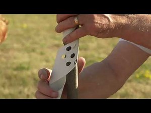 Wrapping Trees to protect from rodents.