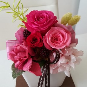 節約生活のんたん日記の30日間推移