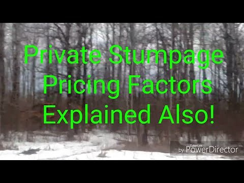 Where and How Loggers Buy Timber