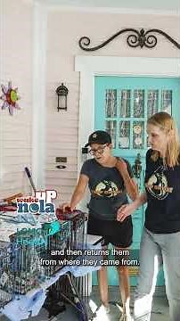 Wake Up NOLA: This New Orleans org is helping solve cat overpopulation