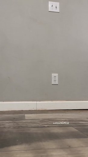 Endless Waddle Loop: The Cutest Call Duck Ever!