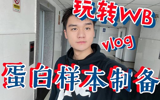 第一节 WB蛋白样本的制备