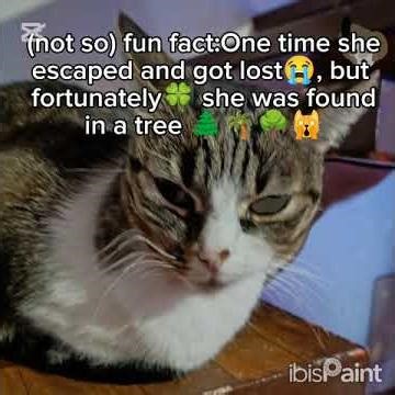 Day 1 of drawing cats as humans🐱→👩🏿 🌹😻 #cat #drawing #human