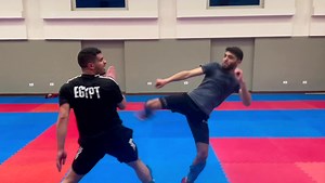 Martial Arts Sparring Session Techniques