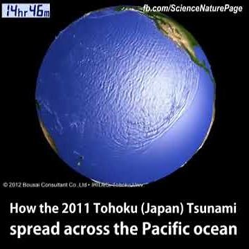 Tsunami from Space
