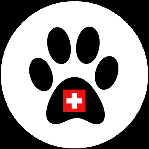 First aid for cat : how to bandage an ear ?