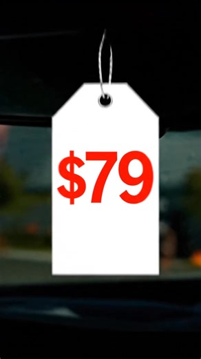 12 shares |  The $79 Eliminator Sale is HERE This Saturday at Bill...