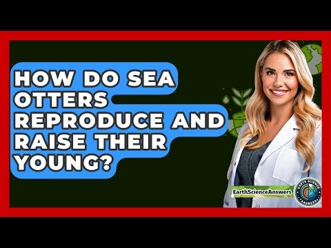 How Do Sea Otters Reproduce And Raise Their Young? - Earth Science Answers