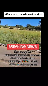 They're all coming in numbers | Ema Ema