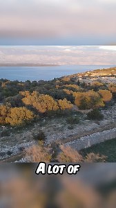 1K views · 19 reactions | Split Tongue | The Secret Body Modification You Never Knew About Cause Nobody Sees It #Split #Tongue #SplitTongue #Secret #Body #Modification #Bodymodification #BodMod #Never #Nobody Split Tongue SplitTongue Secret Body Modification Bodymodification BodMod Never Nobody | Lily Lu | Facebook