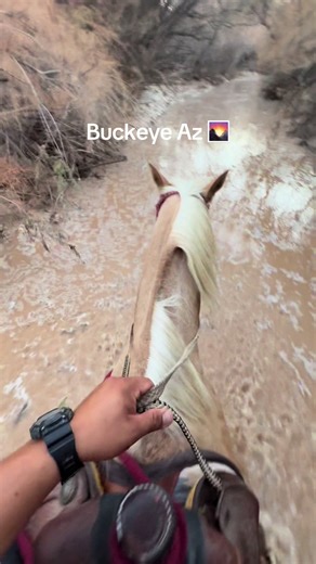 Explore Buckeye AZ Horseback Riding Trails