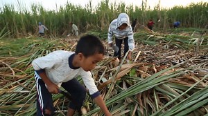 4.9K views · 31 reactions | Every day, children are abused and exploited, with 1 in 4 children engaged in child labour worldwide. Your generous support today can help stop children being exposed to violence and exploitation. Please donate at bit.ly/2WeSqng | ChildFund Australia | Facebook