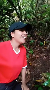 Alguna vez han escuchado gritos en el bosque ? | Cesibel Peña