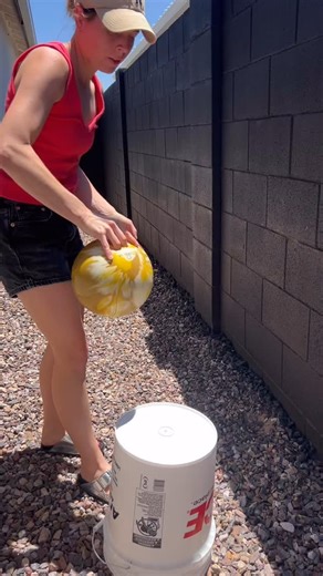 I turned a bowling ball into a giant lady bug yard decoration 🐞 I debated adding eyes but I like the simplicity of it without! I have a couple more bowling balls.. does the lady bug need a friend? A bumble bee? Beetle? Frog? Let me know 😆 I thrifted a bowling ball and spray painted it red, added black detailing and some antennas out of wire and wooden balls and then buried it halfway into the ground in our front yard. Would you try this DIY? #diy #diyyardecor #thriftflip #giantyardecor #backya