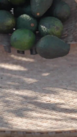 handwork china (@handwork_china)’s videos with original sound - handwork china