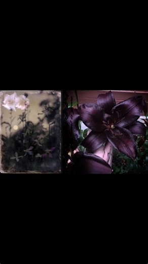 🦩 on Instagram: "I promise to love you even when we’re angry or having problems. You will never stop being the love of my life. #love #reels #him #explore #forever #fyp #explorepage #peace #relationships #boyfriend #lovers #home #missu #missyou #missyoueveryday #longdistancelove #longdistancerelationship❤️ #longdistancelove❤️ #relationships #longdistancecouple #girlfriend #foreverandalways #fyp #fypppppppppppppppppppppppppppppppppppppppppppppppppppppppppppppppppppppp #fypシ❤️💞❤️ #fypreelsinstag