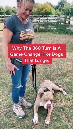 The Game-Changing 360 Turn for Reactive Dogs