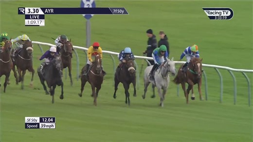 2.4K views · 16 reactions | A tough battle up front in the Autumn Breaks At Western House Hotel Handicap, sees Count Palatine defeat Quest For Fun under a strong drive from Sean Kirrane - a winner for Michael Dods 磊 | Ayr Racecourse | Facebook