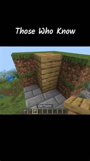 Block Craft 3D 😁 #minecraft