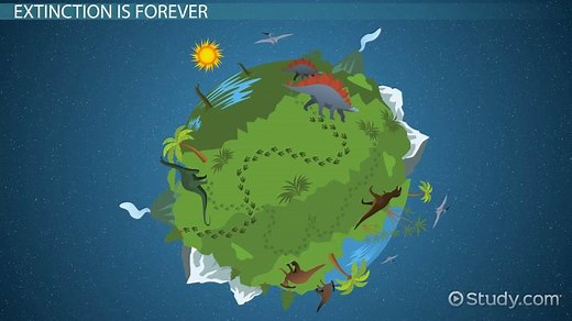 Consequences of Extinction & Species Loss