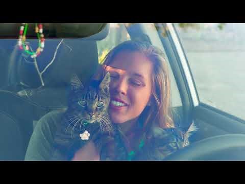 2020 Subaru Outback Debut