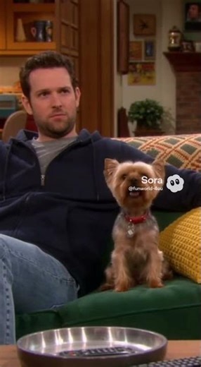 spell dog...#fyp #viral