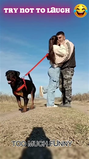 Too Much Funny🤣 Try Not To Laugh 🤣 🔥Memes,Epic Fails & Pranks Compilation #funny #compilation #fails