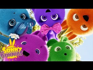 SUNNY BUNNIES - Group Huddle | Season 4 | Cartoons for Children
