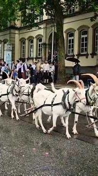 Peter-und-Paul-Fest in Bretten 🇩🇪