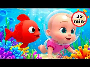 Bubble Pop – Learn Colors & Count Fish Song | Nursery Rhymes for Kids | Bubble Pop TV