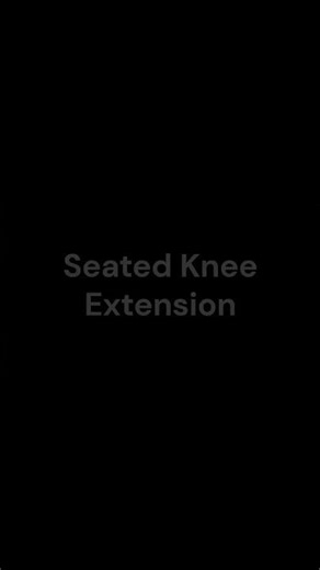 Seated Knee Extension (Lower Body Machine Weight)