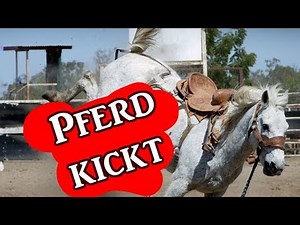 Pferd kickt nach anderen oder bleibt plötzlich stehen - was tun (Stallsorgen #24) | Serenity Horses