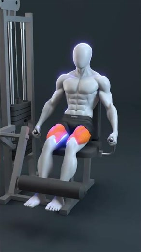 Quad Growth 101: Stop Hitting a Plateau! 🦵🔥