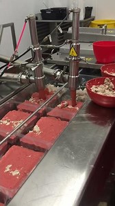 Riggs Autopack - Ready Meal Depositor with Multivac