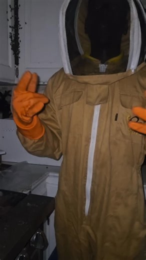 Mr. Bee on Instagram: "Would you still wanna cook in your kitchen??? Please note that the bees came through the window to the right in the video head straight for the cupboard just case yall erre wondering how de heck these bees got in. #savethebees #savetheplanet #beeman #beekeepers #honey #queenbee #honeycombs #healthyfood #healthylifestyle #queen #bajanhoney #barbadoslife #bussiness #entrepreneurgoals #entrepreneurlife #barbados"