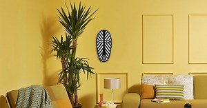 Comment entretenir son yucca ?