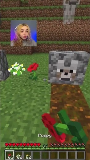 Memories Fade to remember everyone😳🤯#minecraft #trend