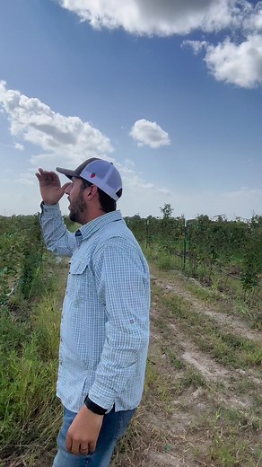 13K views · 944 reactions | Alien Squash! #alien #alien #ufo #ufos #pumpkin #growingsquash | Farmer Froberg | Facebook