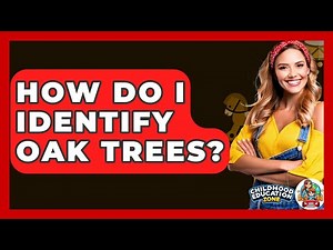 How Do I Identify Oak Trees? - Childhood Education Zone