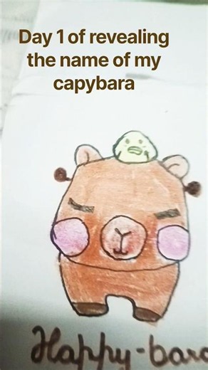 Rate my capybara name and drawing out of 10🐻