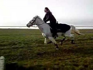 Gallop