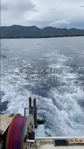 🐟徳之島天城町の漁師の一日#漁師 #カツオ #シビ #キハダマグロ鮮魚 #ふるさと納税#シビの燻製 #カツオの角煮#お取り寄せ#徳之島グルメ #鹿児島 #奄美群島#漁業 #プロの技 #職人技