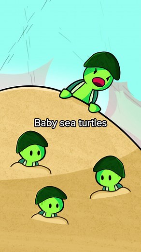 War Zone Turtle Birth Animation | Funny Baby Turtle Meme