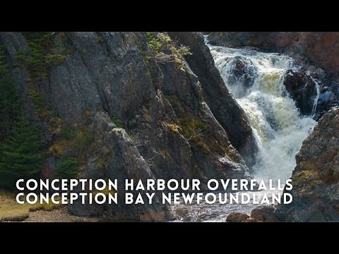 Discovering Newfoundland - Conception Harbour Overfalls Conception Bay Newfoundland